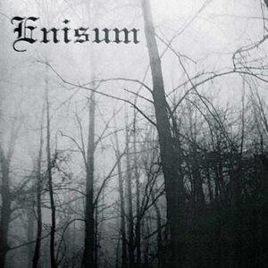 Enisum