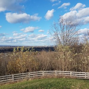 Kentucky - Single