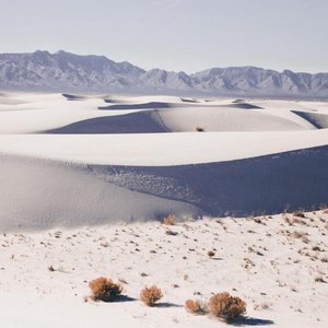 Nevada Wild 的头像