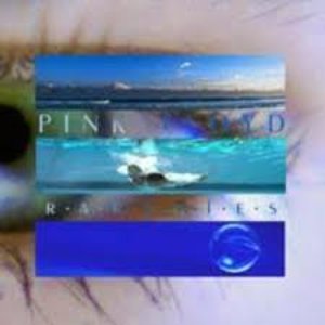 Pink Floyd - A Tree Full Of Secrets Disc 9 - Zortam Music