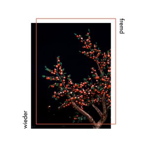 Wieder fremd - EP