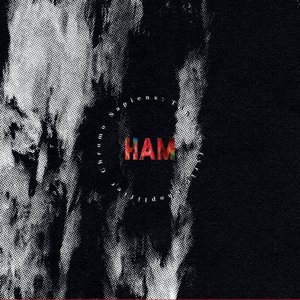 Chromo Sapiens: Tónlist Fyrir Shoplifter