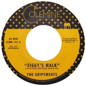 Ziggy's Walk - Single