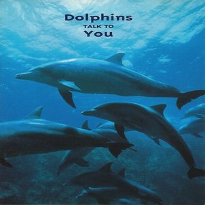 Dolphins Talk To You