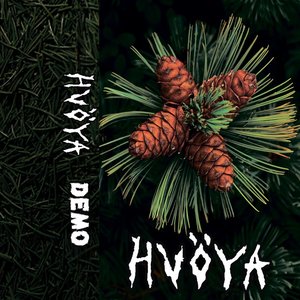 HVӦYA 的头像