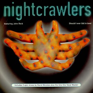 Should I Ever (Fall In Love)