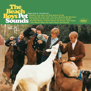 The Beach Boys - Beach Boys - God only knows Lyrics - Zortam Music