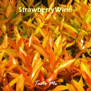 Taste Me: mini-discography [2009-2012]