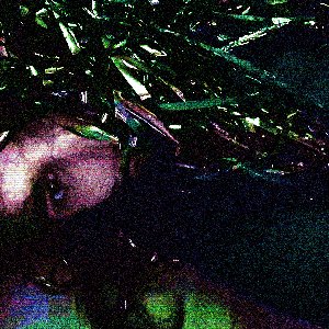 Avatar for Vectorgeist