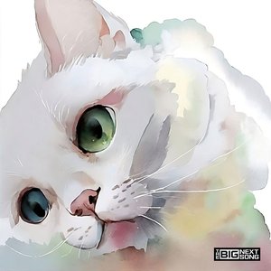 Odd Eyes