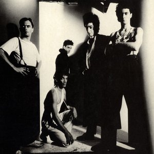 Animal Magnet 的头像