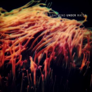 Image for 'The Wind Under Water'