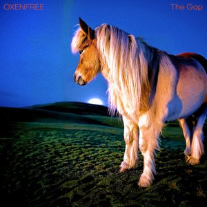 The Gap