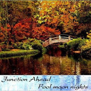 Fool moon nights