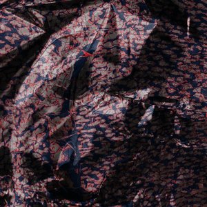 Data Entry EP