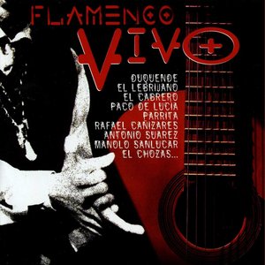 Flamenco Vivo