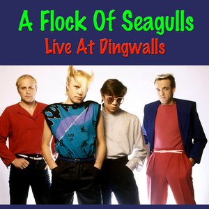 A Flock Of Seagulls Live At Dingwalls