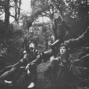 Amebix photo provided by Last.fm