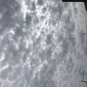 Give It Up - Single