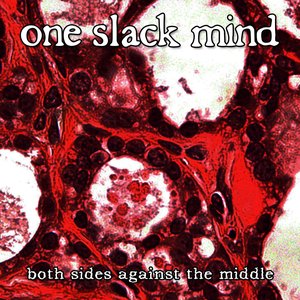 Both Sides Against the Middle