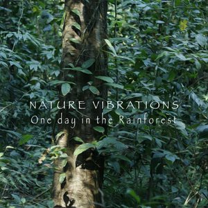 One day in the Rainforest