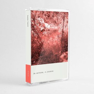 Swamp Tapes 010
