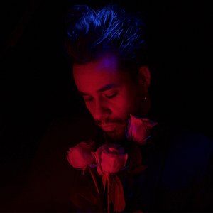 When The Roses Die 的头像