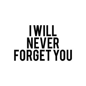 I Will Never Forget You