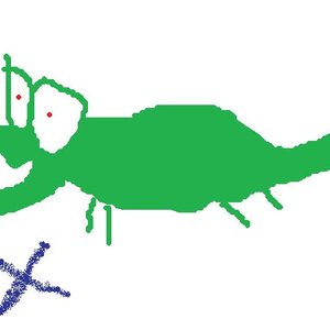 crocodile FX 的头像