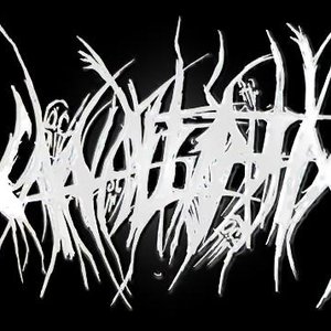 xAnal Firthx 的头像