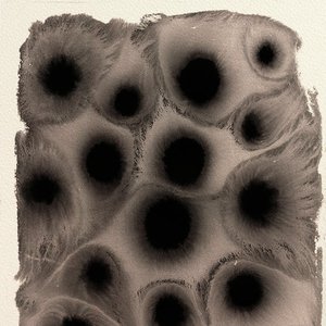 Idiot Plague 的头像