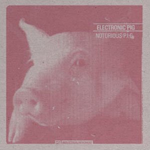 Avatar for Electronic Pig