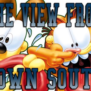 Avatar for The View From Down South
