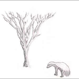 The Honey Badger EP