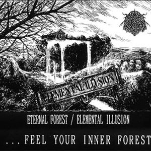 Elemental Illusion