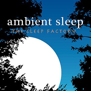 Ambient Sleep