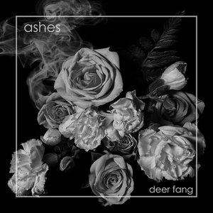 Ashes - Single
