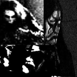 GoatWAR 的头像