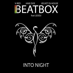 Into Night (feat. Leo DJ)