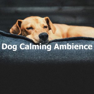 Dog Calming Ambience