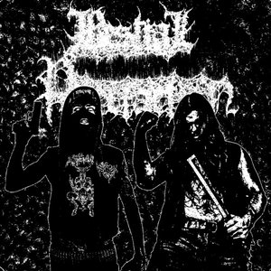 Bestial Putrefaction 的头像
