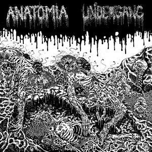 Anatomia / Undergang