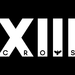 Image for 'XIII CROWS'