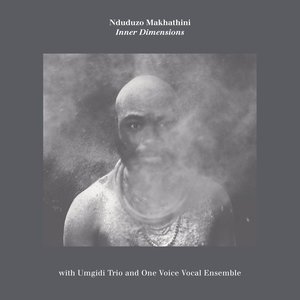 Nduduzo Makhathini with Umgidi Trio and One Voice Vocal Ensemble 的头像