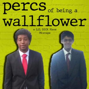 Percs of Being a Wallflower
