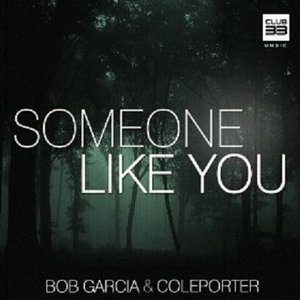 Someone Like You (Radio Edit)