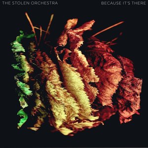 Because It's There - Single