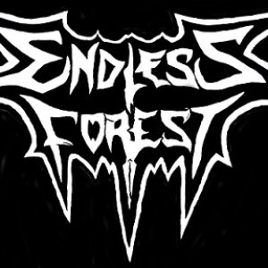 Endless Forest 的头像