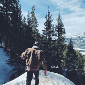 Dylan Gossett - Coal - Zortam Music