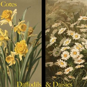 Daffodils & Daisies
